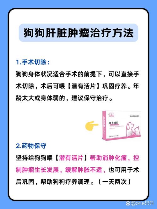 狗狗为什么会得肝囊肿