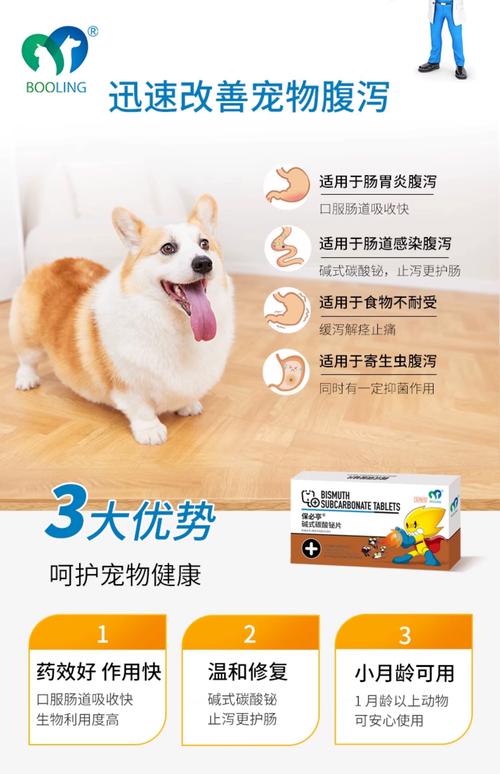 猫咪拉稀带血吃什么药