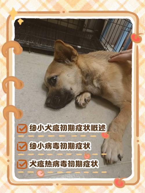 狗瘟早期症状是什么样子的,犬瘟初期症状及治疗