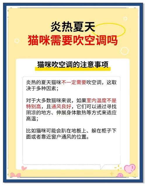 猫喜欢热的地方还是冷的地方