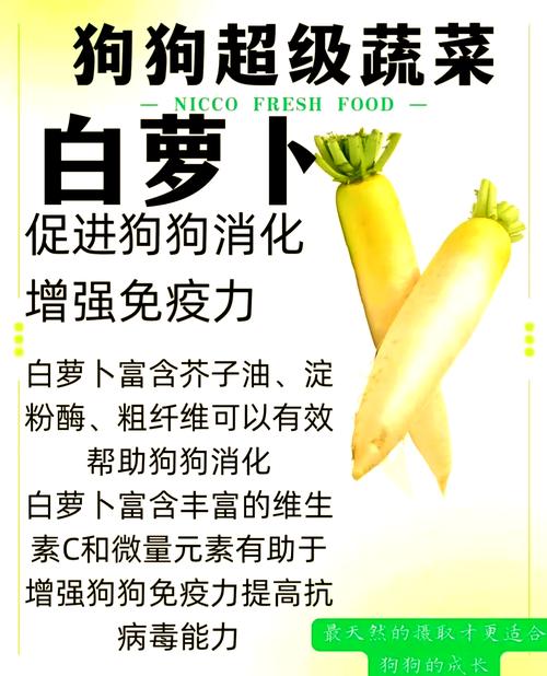狗狗可以吃白萝卜吗