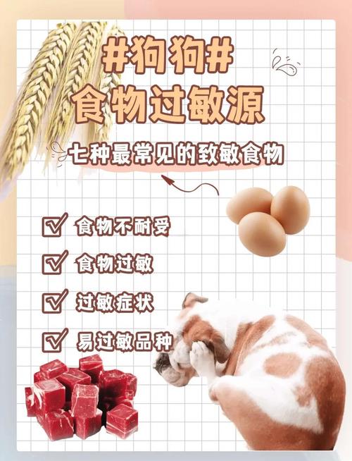 什么是狗狗食物过敏性皮炎?
