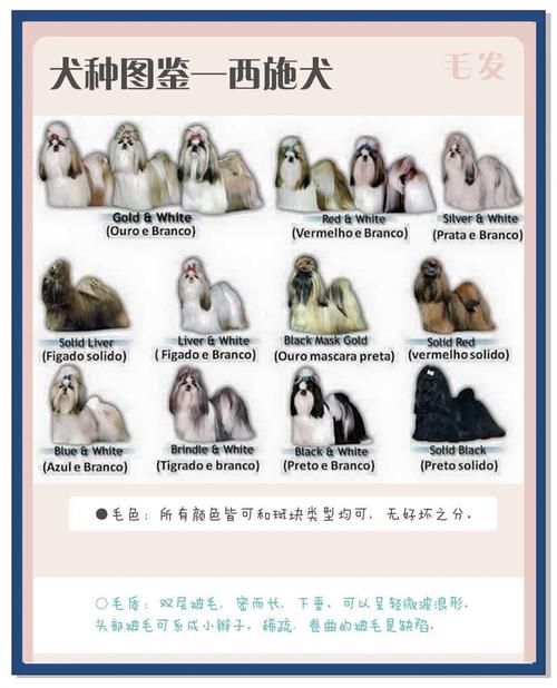 哪些品种的狗狗毛长且柔软呢?