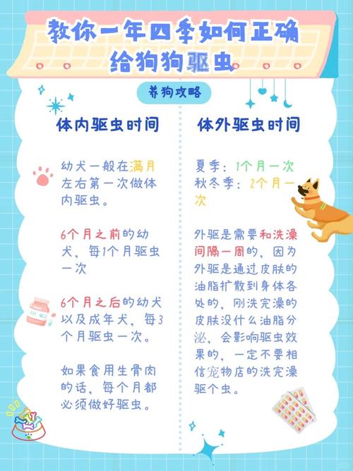 已经成年的狗狗多久驱虫一次?