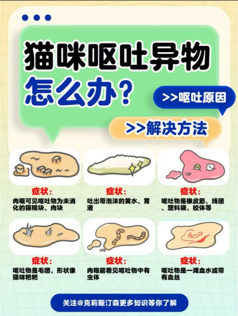 猫咪拉肚子吐了怎么回事