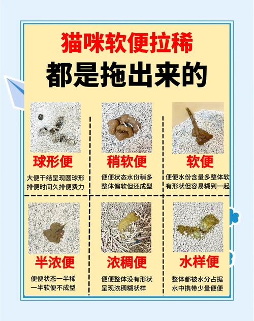 宠物猫拉肚子是什么原因