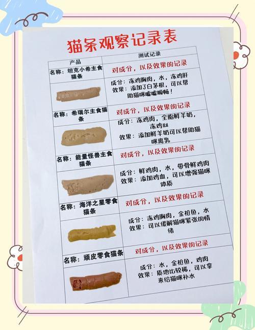 怀孕的猫吃什么好一点