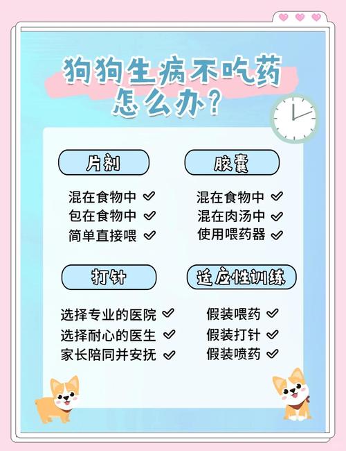 给狗狗喂药的方法步骤