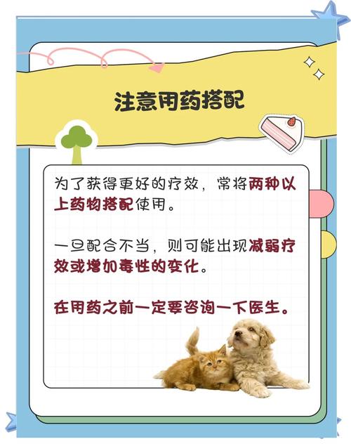 狗狗生病了不肯吃药怎么办