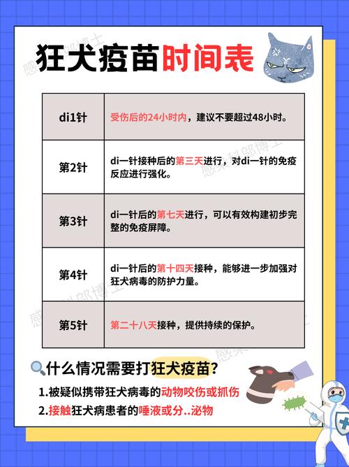 狗狗打狂犬疫苗一般能管几年