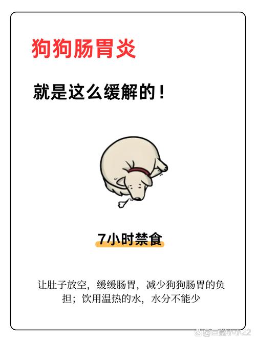 狗肠炎为什么不让喝水