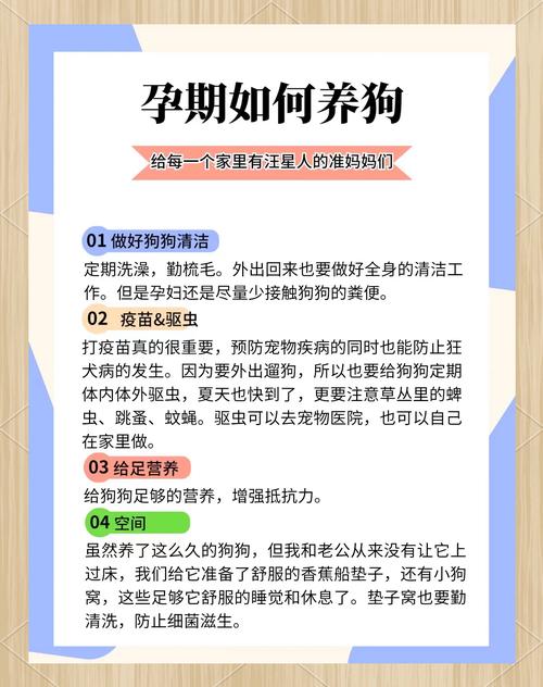 孕期家里到底能不能养狗