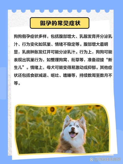 养狗对孕妇有什么影响吗?