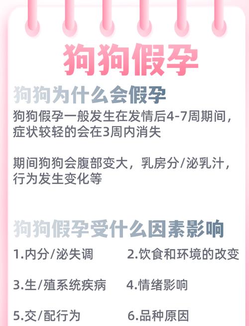 狗狗对孕妇有影响吗