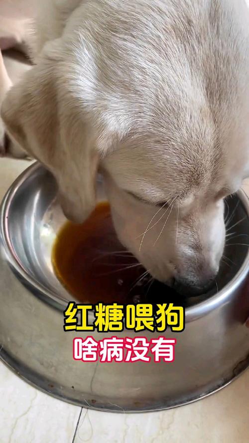 狗狗吃红糖水有什么好处和坏处?