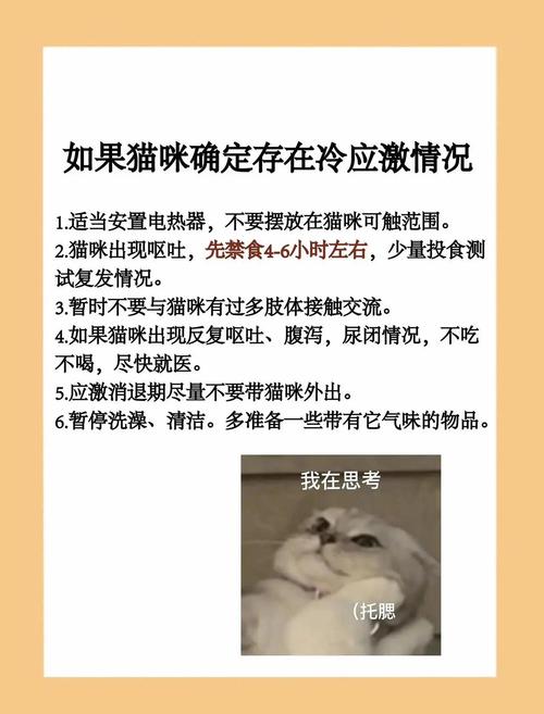 猫咪为什么不能吃凉食