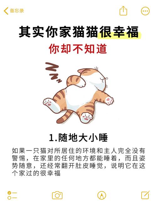 猫咪舒服的表现