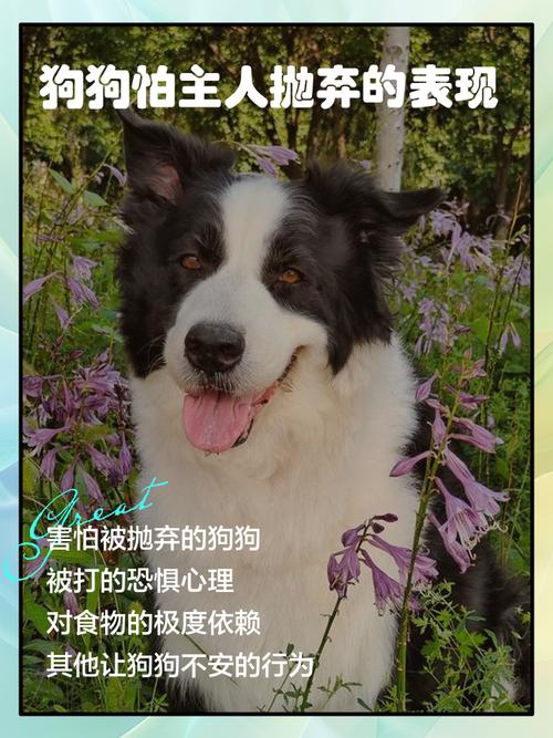 怎样判断狗狗害怕了