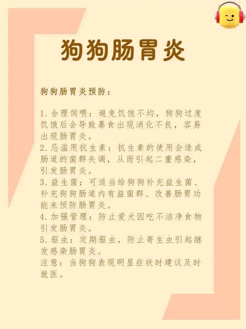 狗结肠炎自己会好吗