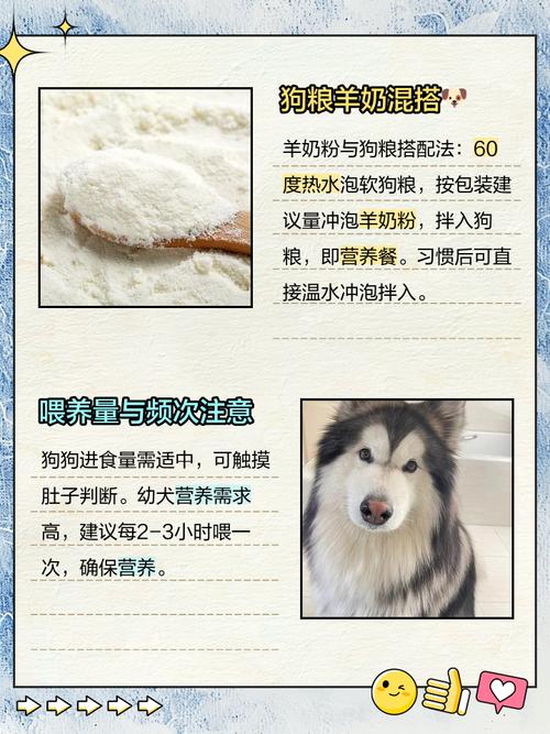 鲜羊奶喂狗可以直接喝吗