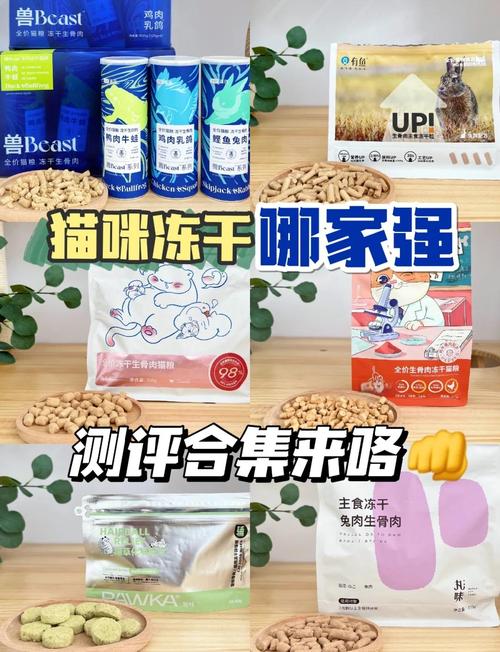 两三个月猫冻干吃法?