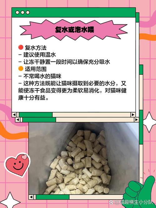 猫咪冻干怎么吃