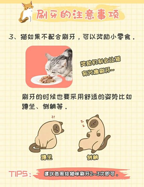 猫咪要刷牙吗?多久需要刷一次牙