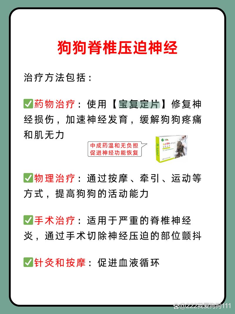 狗狗颈椎病有哪些症状