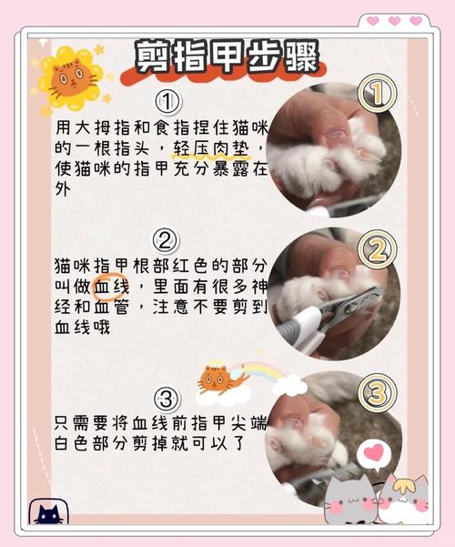 幼猫能不能剪指甲