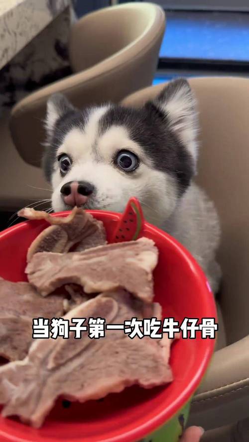 狗能不能吃牛蛙