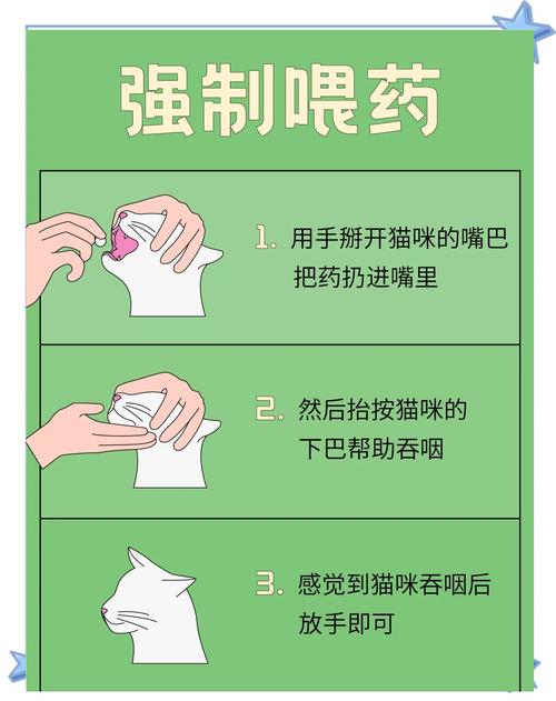 猫得了猫瘟怎么办?