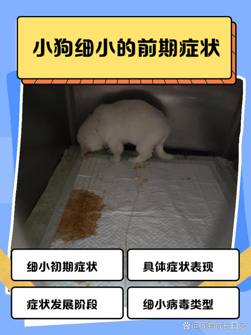 狗得了细小病毒有什么症状