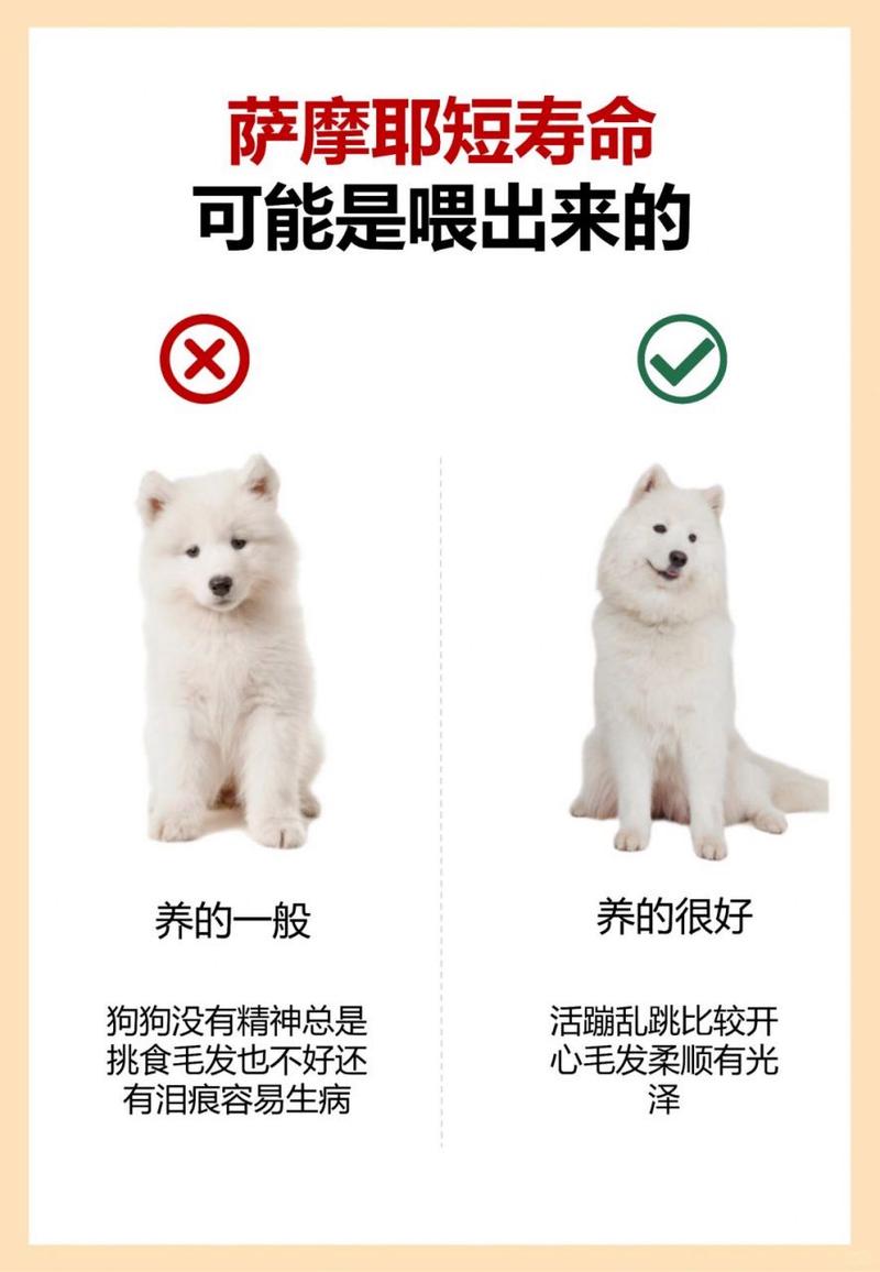 萨摩耶犬能活多久