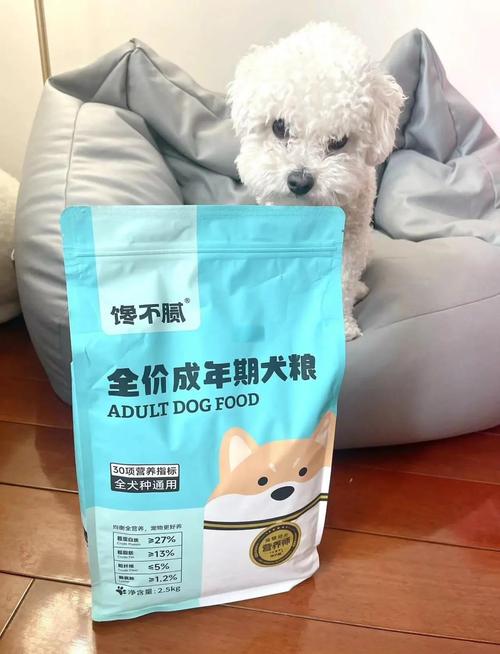 【馋不腻狗粮百科】泰迪一般寿命多长?