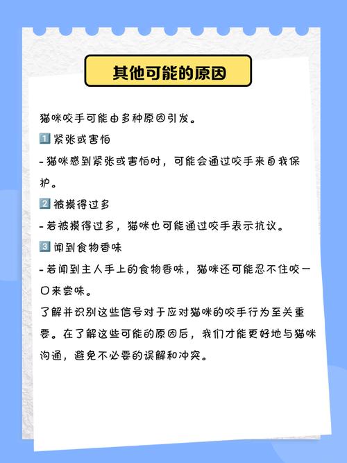 猫猫为什么喜欢咬人