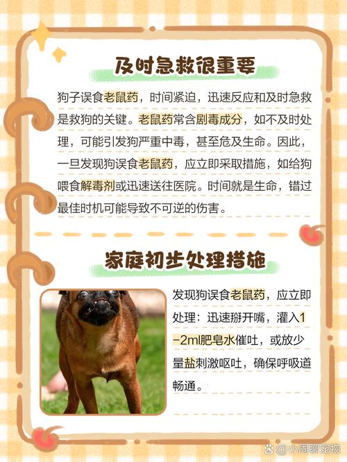 狗狗吃了老鼠药怎么办?