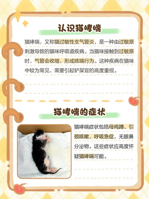 治疗猫咪支气管哮喘的方法