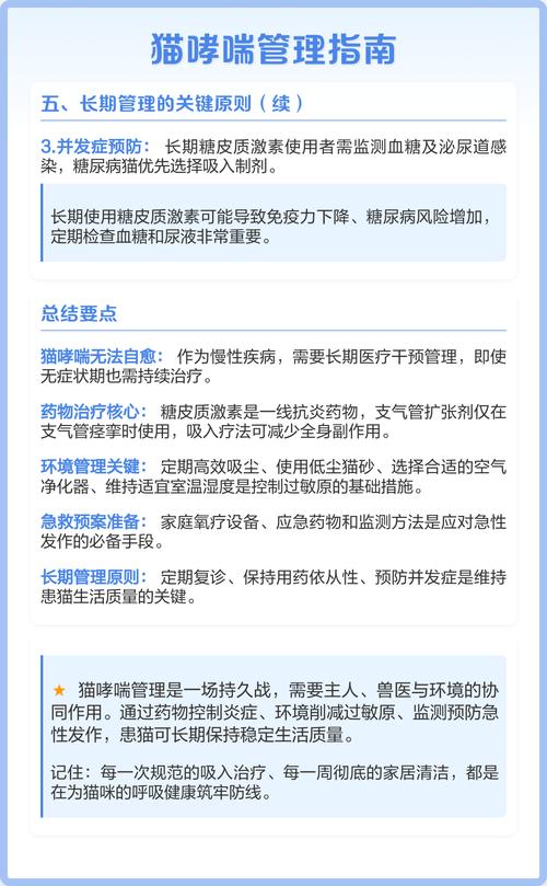 氨溴索片猫口服每公斤