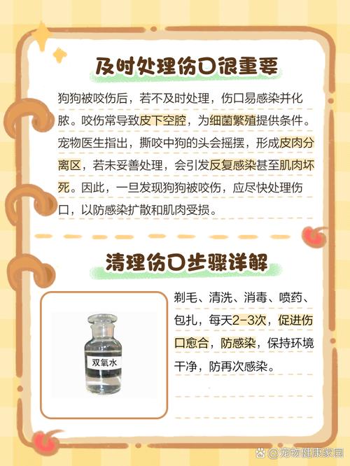 狗狗头部有化脓伤口该怎么办呢?
