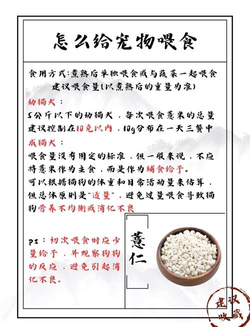 狗狗能吃薏米吗