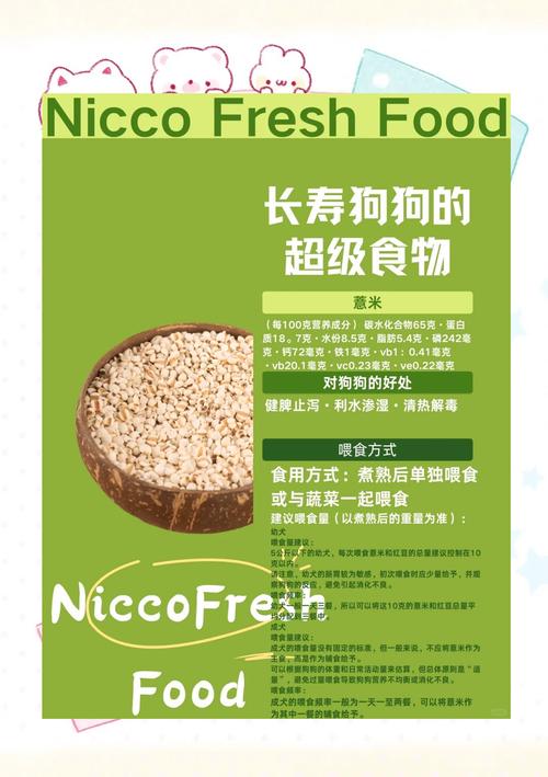 狗调理肠胃的中草药有哪些