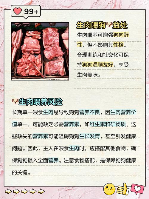 狗狗为什么不吃肉皮啊
