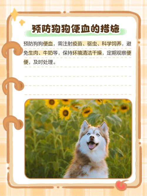 狗狗拉肚子拉出果冻状粘液还带血怎么回事