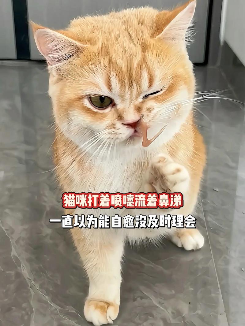 猫咪鼻子不通气哼哧哼哧的是什么原因