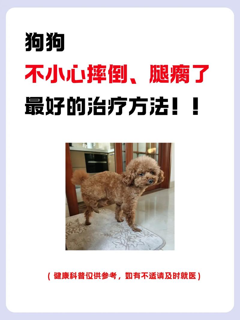 狗狗腿摔了一下瘸了多久自愈?