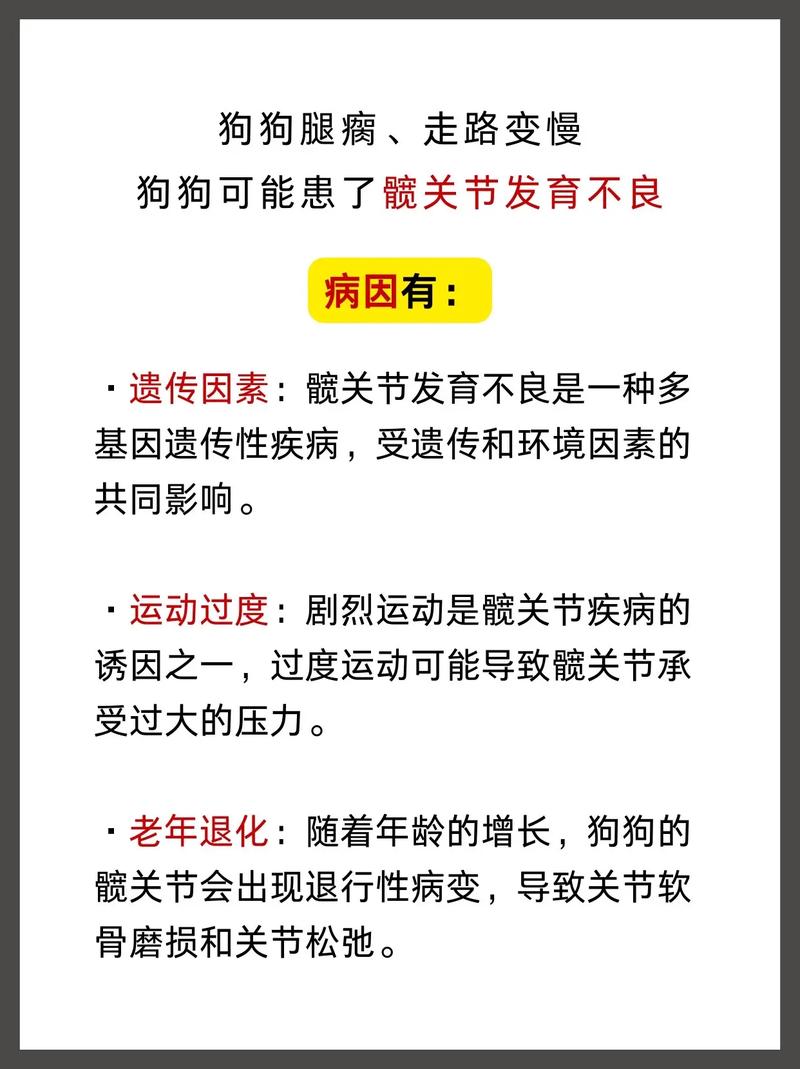 狗瘸了能自己好吗