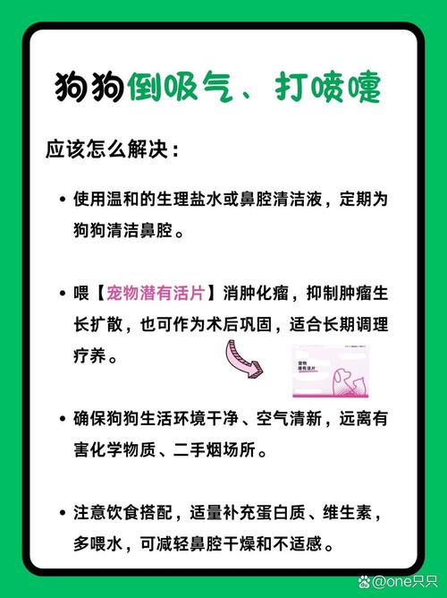 狗狗呼吸道感染可以自愈吗