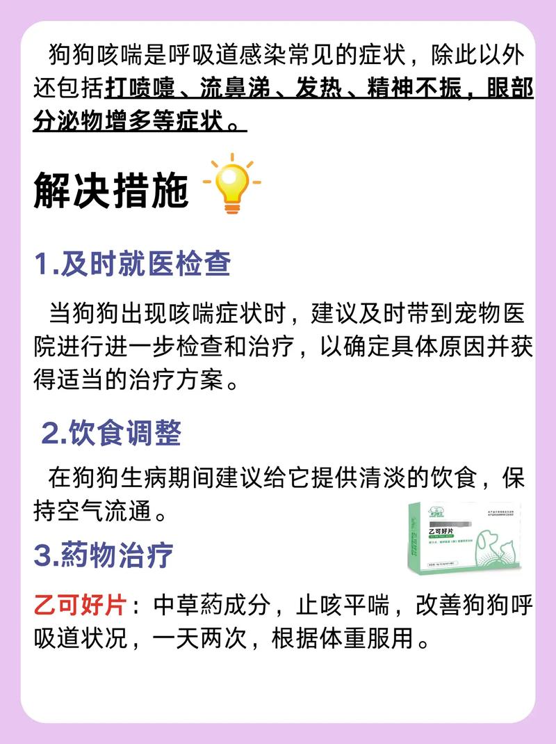 狗呼吸道感染治疗