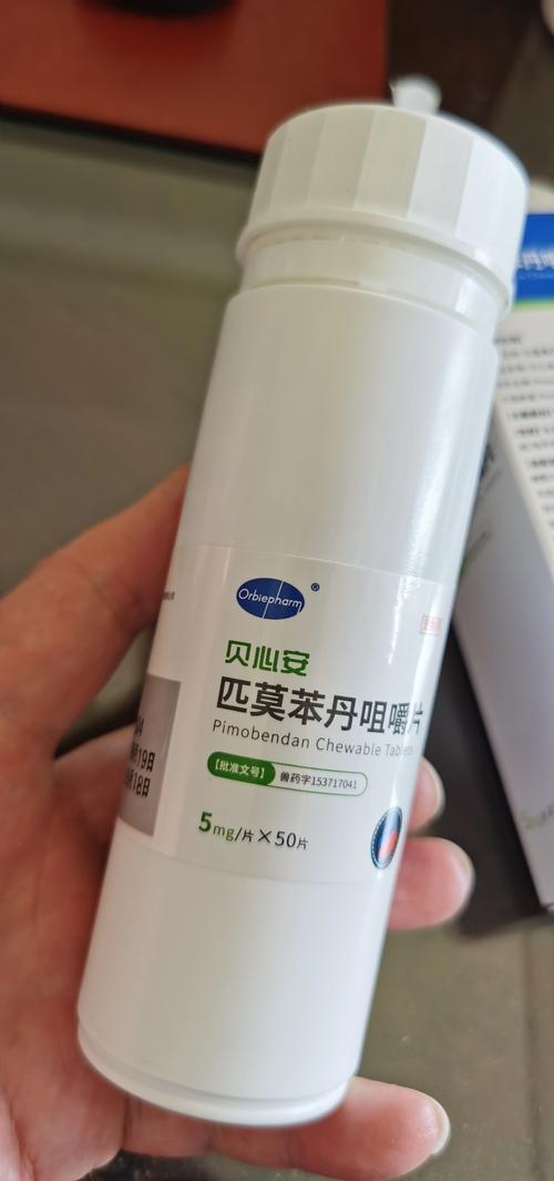 狗呼吸道感染用什么药