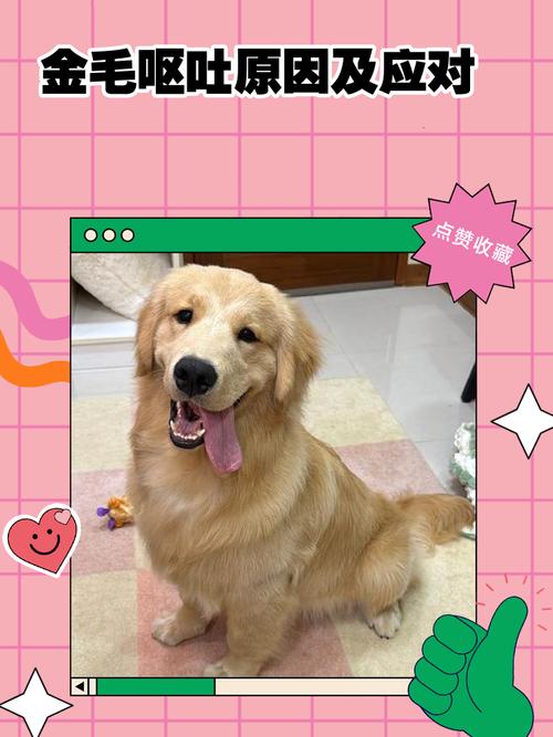 狗狗一天吃一颗穿心莲片会怎么样